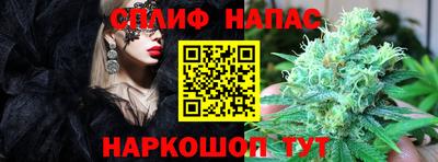 мяу мяу мука Пушкино